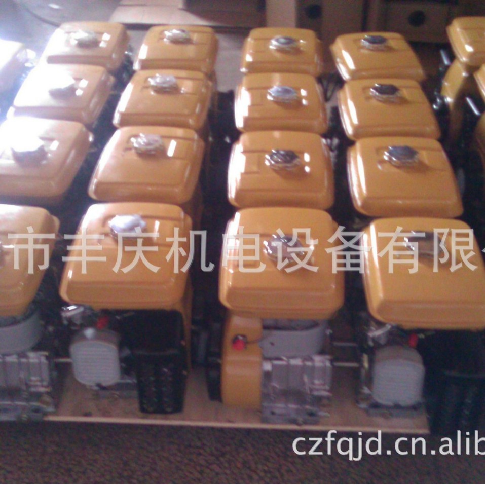 汽油机EY20