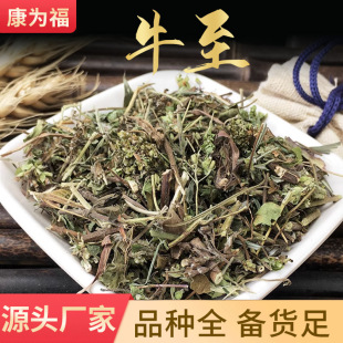 ţ���� ���_�ݝM����Ģ��������� ��ș�ĸ�ţ�� �����a��؛