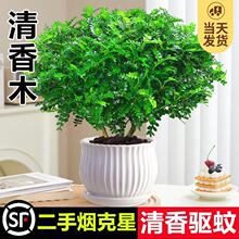 ���������ֲ�����ľ�����k���҃�����Gֲ����ζ��x��������