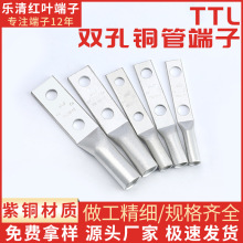 双孔铜鼻子接线端子TTL120-10高压电缆12-35KV双孔铜管端子多规格