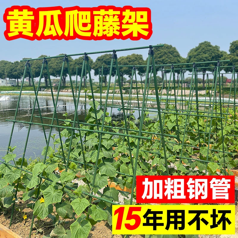 Подставка для виноградной лозы огурец Подставка для виноградной лозы