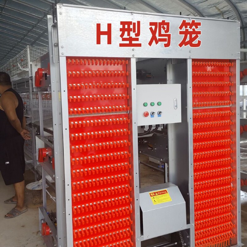 Meat and Egg Chicken Cage Manufacturer Chicken Raising Equipment Stepped Egg Chicken Cage Chicken Cage Household Fully Automatic Chicken Raising Equipment
