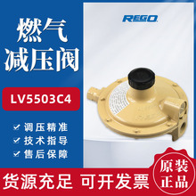 ����RegoҺ����p���yLV5503C4�μ��{���y��й©�{����DN15