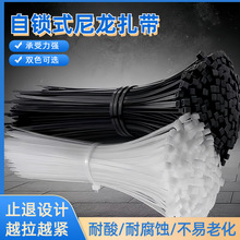 ��ɫ��ɫ���������������iʽ���χ����J�C���i�ӌ��Ӻ�������