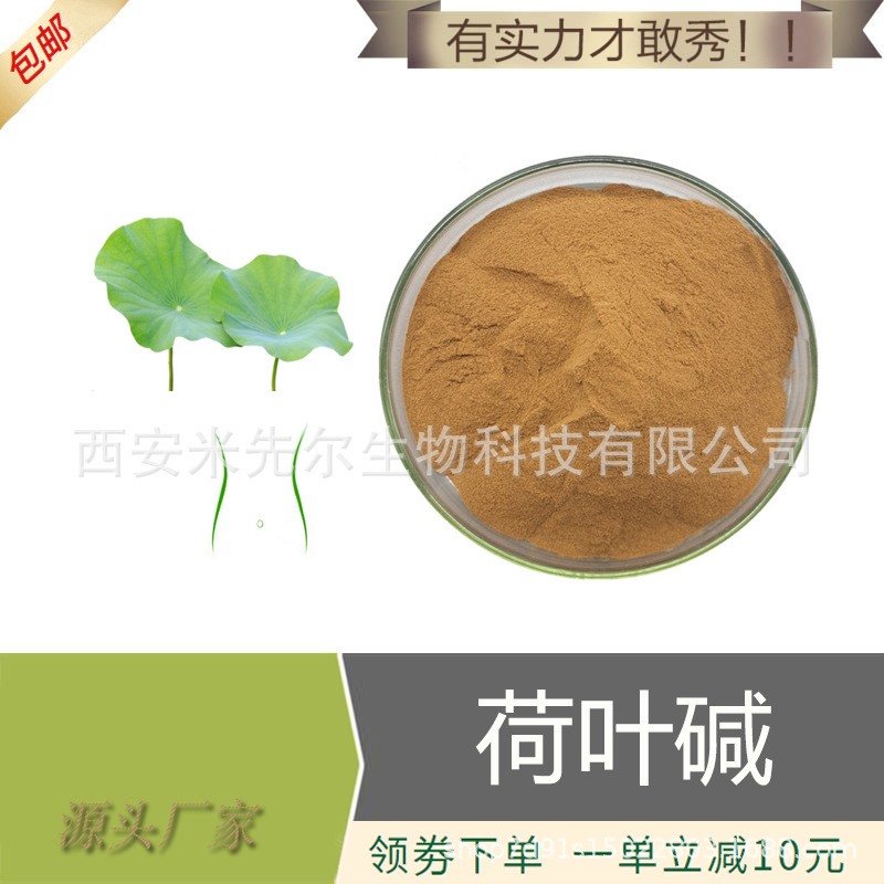 荷叶碱4% 荷叶提取物 荷叶粉 水溶性 现货 厂家 量大从优