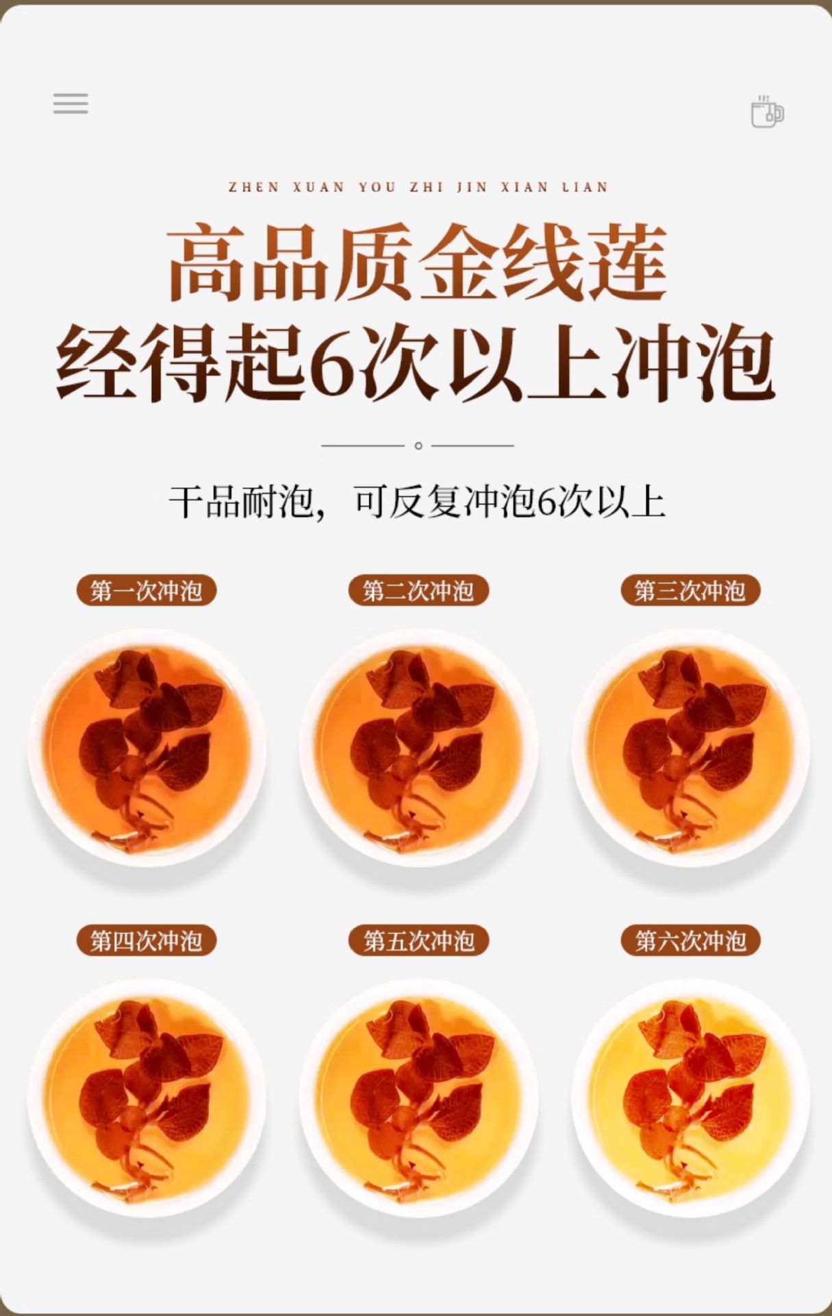 Anoectochilus Dried Whole Plant Tea 250g Fujian Jinxianlian Gift Box in use