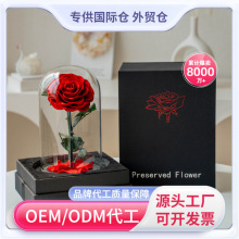 永生花玻璃罩小王子婚礼批发玫瑰花情人节成品礼盒跨境花束礼物花