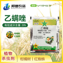 �����A���\������20%���\��t֩���֩���~�\�rș���x�����\��5��