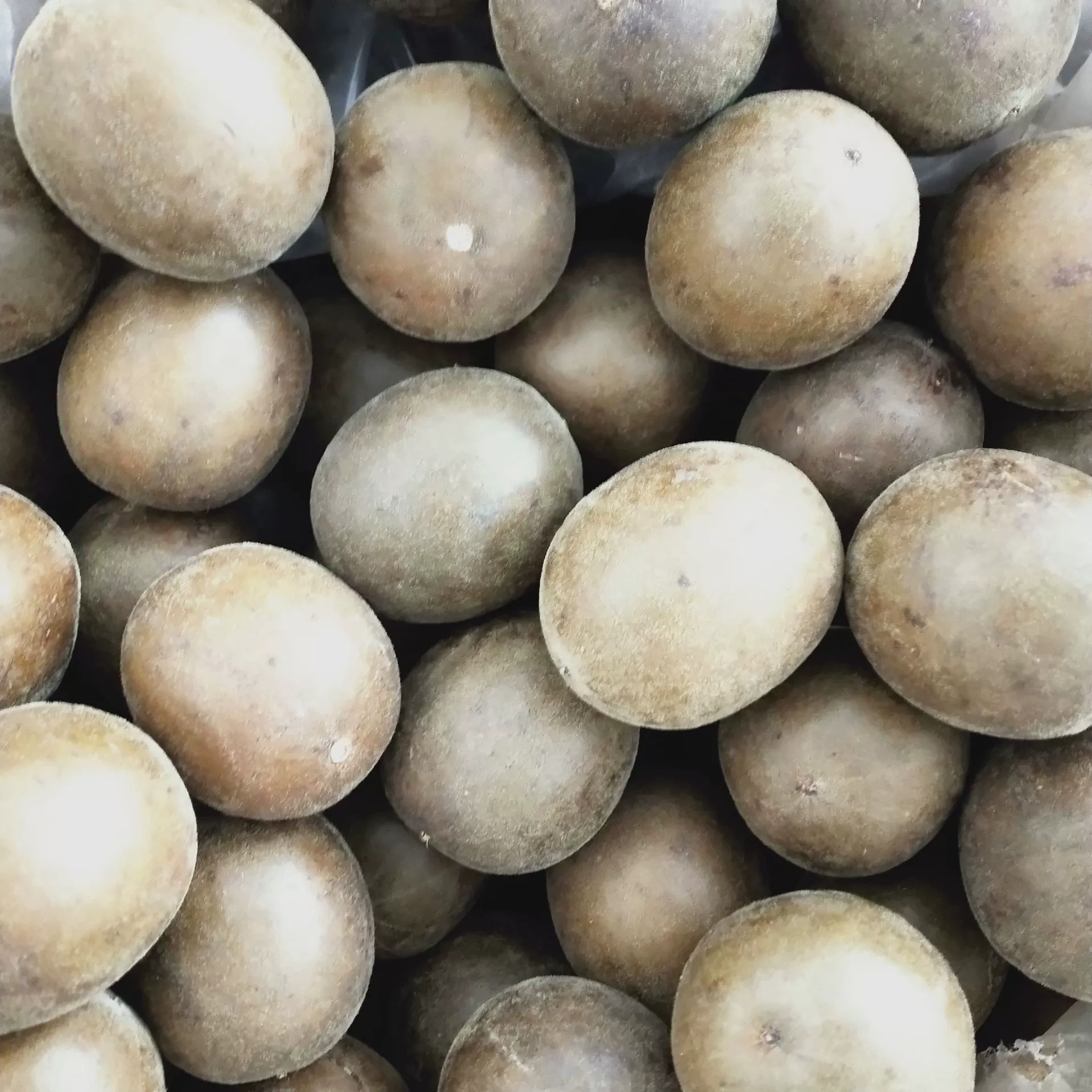 Оптовая продажа небольших плодов луоханьгуо, смешанных с хризантемой и ягодами годжи, для приготовления травяного чая, продукт из Гуанси, оптом в больших количествах, прямые поставки из Гуанси.