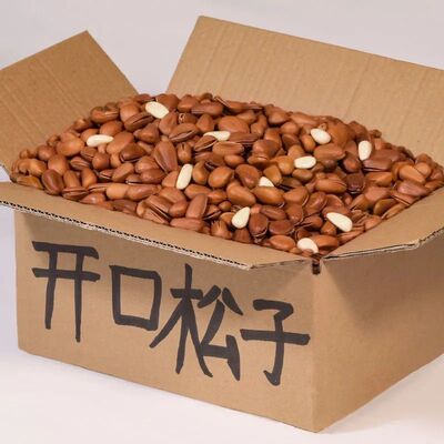 新货东北松子连罐重500g250g大颗粒手剥干果坚果零食礼包批发50g