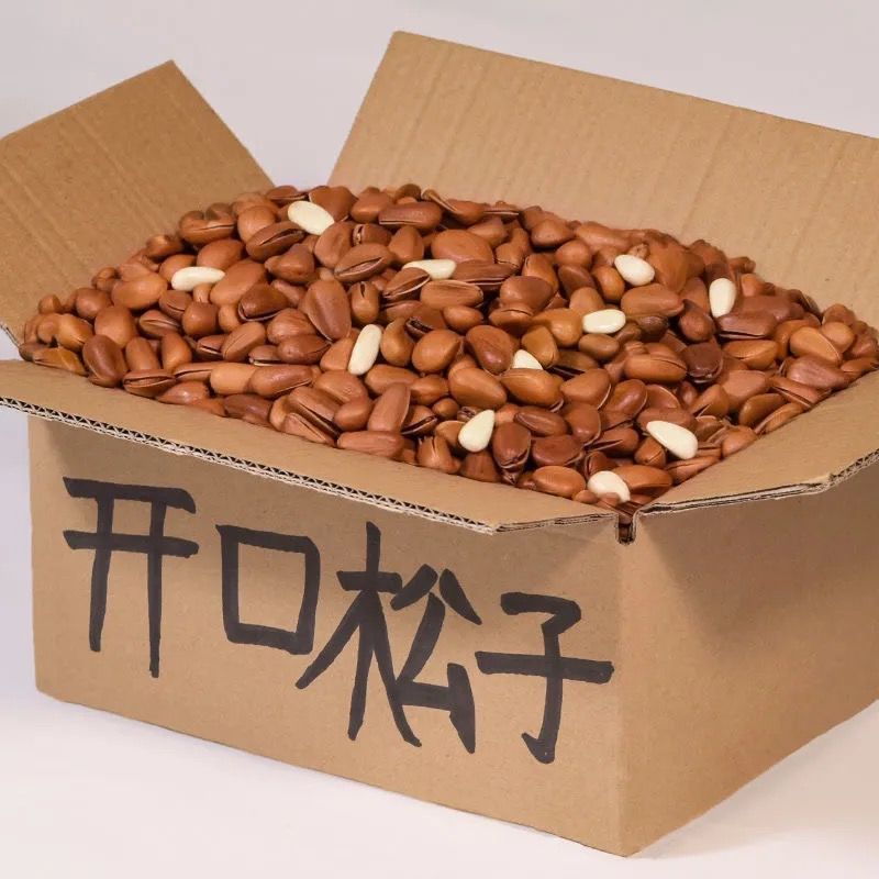 新货东北松子连罐重500g250g大颗粒手剥干果坚果零食礼包批发50g