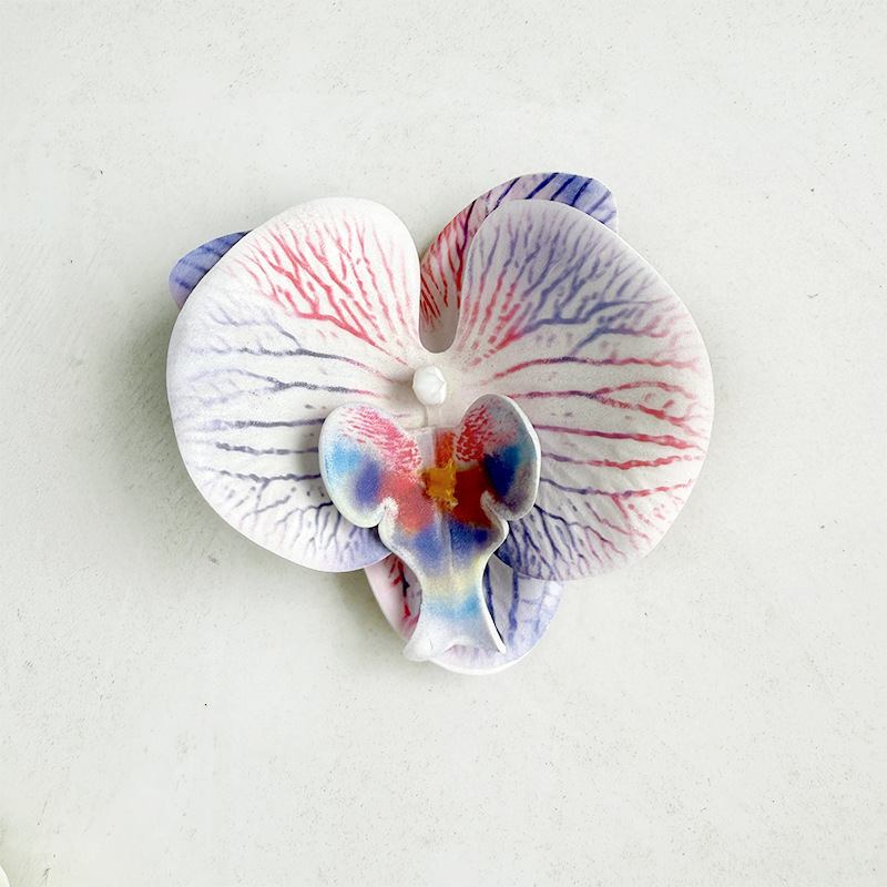 중간 에바 호접란-흰색과 파란색