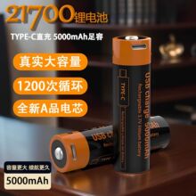 �ɳ��늳�21750USB3.7VType-C���3.7V5000mAh���������Ͳ늳�