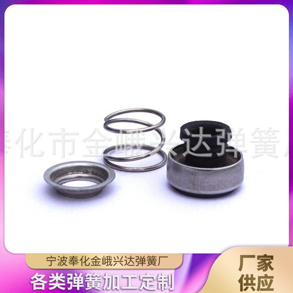 供应DS/F17系列多种规格密封件弹簧 弹簧厂家直供