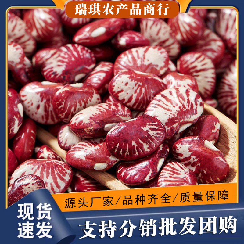 斑马豆批发一件代发肾花豆农家荷包豆花菜豆大红豆红芸豆花芸豆