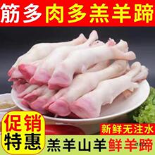 �����������r�������r�����ɽ�������������ӎ������ü�ͥ�b