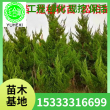 ����ֱ�N����С��G����������������Ҏ�����ؘ����ļ����G������