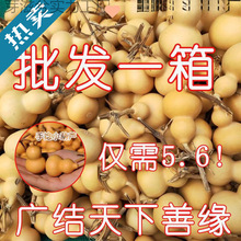 ���J�؃r����������С���J��Ʒ���lС���ְѼ���Ȼ���J�������