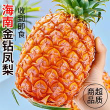 海南金钻凤梨新鲜水果9斤当季粉色风梨香水菠萝特产大果无眼整箱