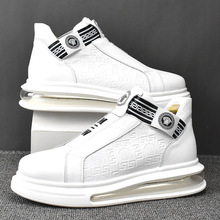 ¿͎p͸⳱neЬۺкȹӕrʯƤ