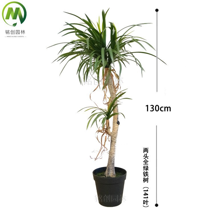 130cm dos árboles de hierro