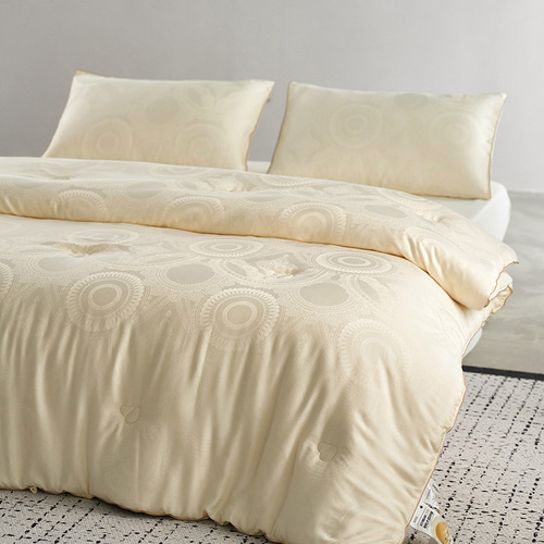 Class A jacquard 80 soybean quilt winter quilt thickened warm washable spring and autumn quilt core summer cool quilt thin air-conditioned quilt
