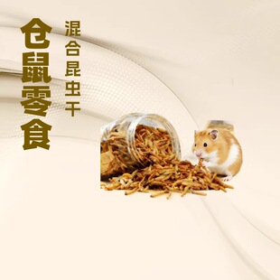 �}��Z����Ȼ���x�ɼZ���ɸߵ����w�S�ؠI�Bȫ���pƴ����xȫ�I�B