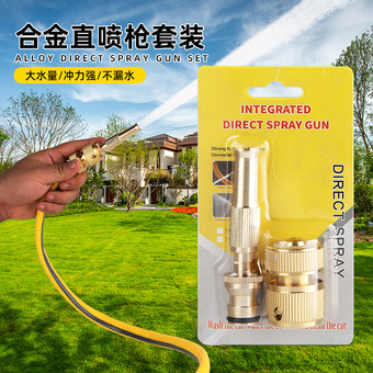 家用洗车高压水枪奶嘴水枪合金直喷枪快接套装生产厂家