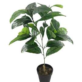 仿真高榕叶工程高山榕叶常青生态植物假树叶榕树叶子厂家批发