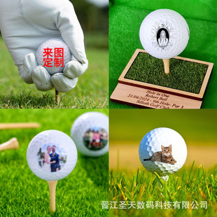 Brand New Customized Golf Double-Layer Gift Balls with Various Logos and High Elasticity for Gift-Giving Golf Balls