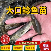 �Ĵ�����T�~�絭ˮ�Bֳʳ�ö���T�~�����������~���T�~���T�~��