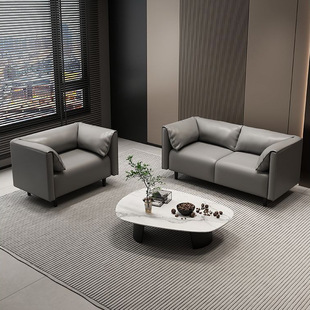 Nordic Light Luxury Small Apartment Elephant Ear Sofa Apartment Living Room Rental Room Negotiation Area Reception Cat Claw Leather Sofa
