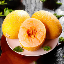 ���Ͻ�ɫ���A�S��������SƤ���ܹ�������ϾW�y�SƤ���ܹ����l