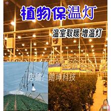 ���Ҵ�����ֲ���߲˷�̫ꖹ�Gֲȡů���؟����ܱ��ؼt�⾀��