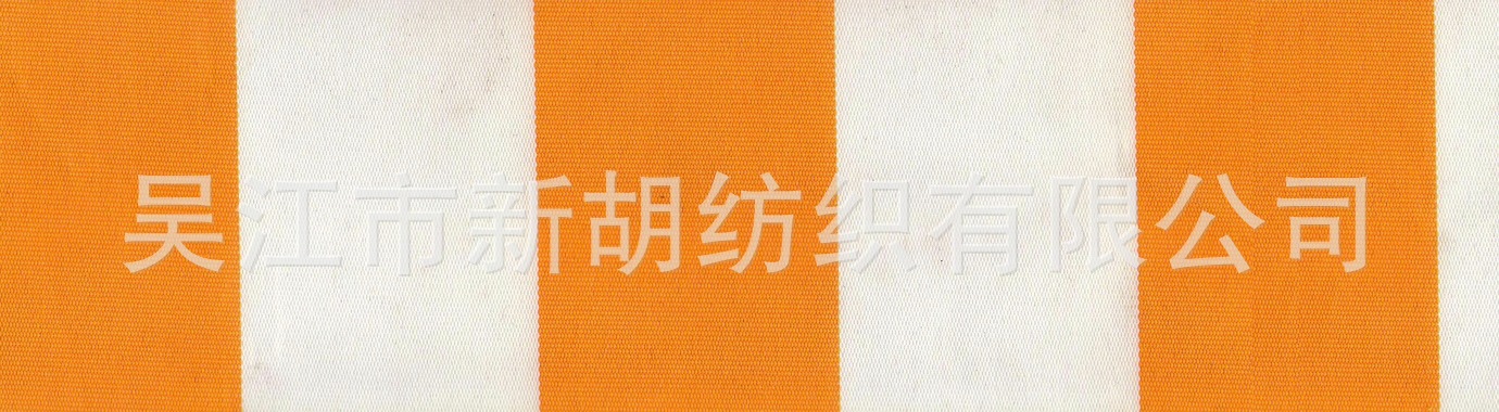 6204