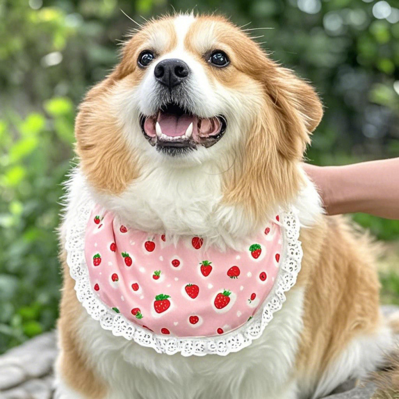 犬用唾液タオル、ペット用アクセサリー、子猫用アクセサリー、ボーダーコリー、コッキーファー、サモエドよだれかけ、首輪|undefined