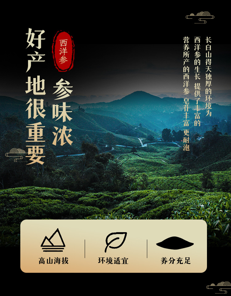 American Ginseng Slices Xi Yang Shen 100g Bottled Food Grade Ready to Eat key features