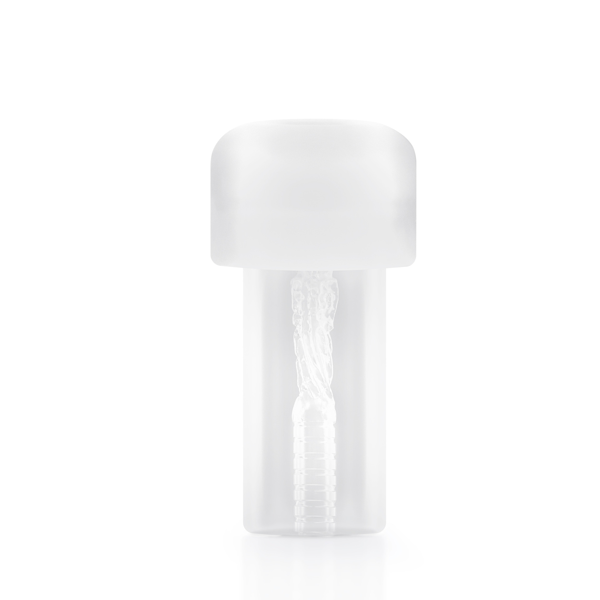 Transparent endinum (2) .jpg