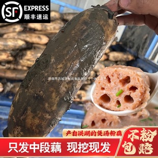 ���ں��ɏź���r�F��Ŵ��ź�Ҝ���Ŵ���������خa�ſ׷�ź�tɏź