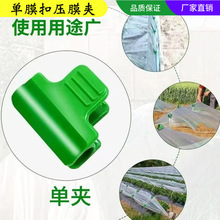 ��Ĥ�ۊAС���Ĥ�A�ۈ@ˇ�W��ꖾW�rĤ�̶��A���҉�Ĥ�ۊA�̶�