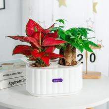 创意水培花盆自吸水懒人花盆土培塑料树脂白色双盆两盆绿植