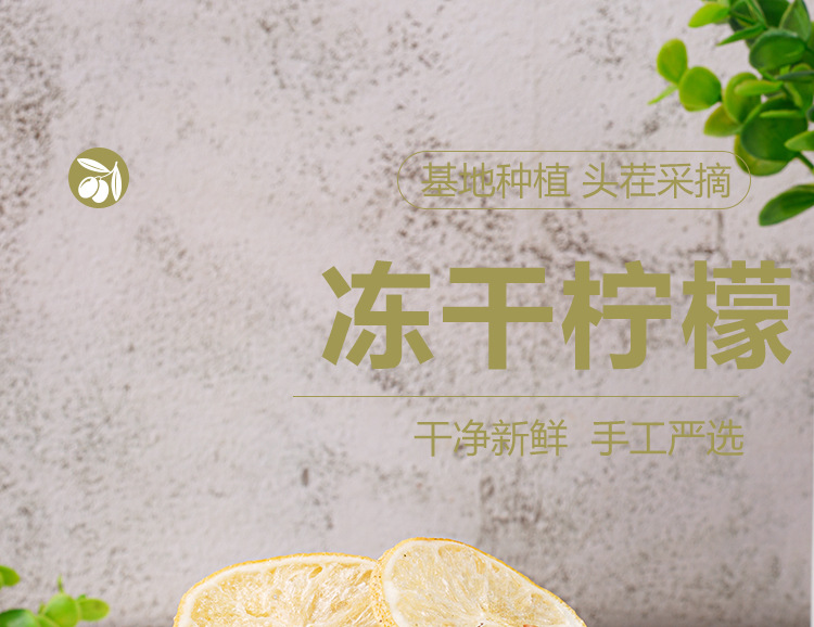 Freeze-Dried Lemon Slices (Citrus limon) — Cold-Brew Fruit Tea, 50g Jar key features