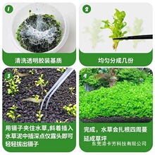 ���������ذ������~��ǰ�������쾰��Ե�ˮ���������o��ˮ��ֲ��