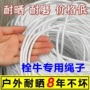 防晒耐磨牵牛牛羊绳子