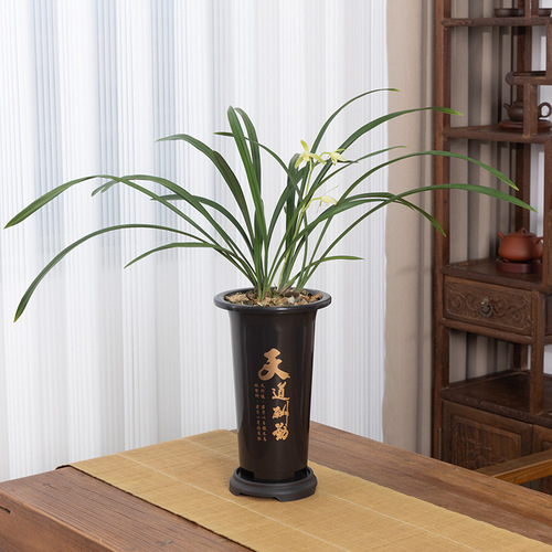 Wholesale Orchid-Specific Pots: Plastic Orchid Pots, Including Elegant Junzi Orchid Imitation Zisha Flower Pots and Premium Orchid Grass Pots