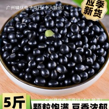 23��؛�Gо��ڶ�5�� �r�����ʞ�Ƥ�G�ĺڶ��� ���{�lѿ��ڞ���