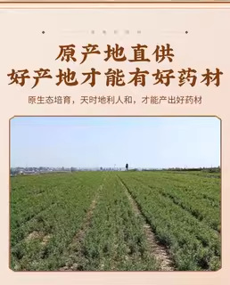 Dried Scutellaria Root Slices Huang Qin Bulk Herbal Decoction Pieces 500g key features