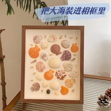 海边贝壳海螺diy标本框自制手工礼物纪念画框中空正方形简约相框