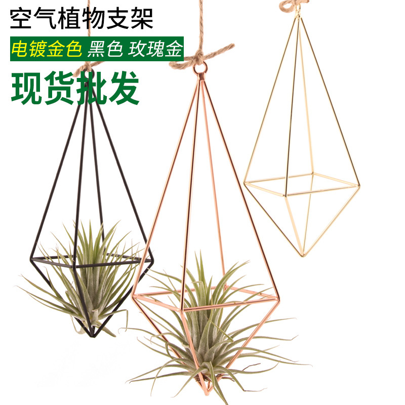Creative Geometric Quadrilateral Air Plant Hanging Bracket Air Pineapple Flower Pot Wedding Holiday Party Hanging Decoration
