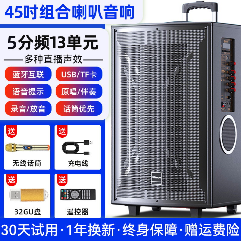 n29 スクエアダンスオーディオ屋外カラオケ 2024 新しい大音量ポータブルモバイルトロリー Bluetooth スピーカー木製|undefined